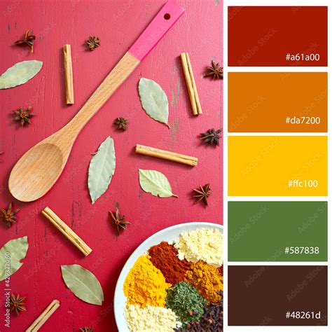 designer pack color palette inspired by cooking with colorful spices