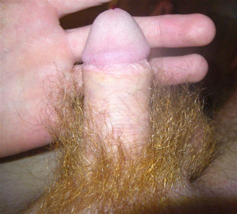 kinky kirbycd s gallery my cock my gay hairy penis shaft red hair pubes redhead