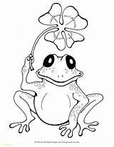 Amphibian Drawing Coloring Pages Frog Printable Kids Getdrawings sketch template