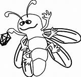 Firefly Insect Coloring Getdrawings Drawing sketch template