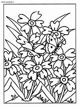 Bloemen Kleurplaten Primavera Fiorito Kleurplaat Prato 2543 Colora sketch template