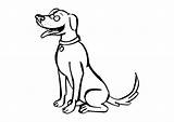 Colorear Perro Cane Hond Kleurplaat Hund Malvorlage Ingles Imagui Domesticos Educima Educolor Scarica sketch template