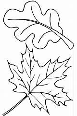 Coloring Leaf Pages Autumn Printable Kids sketch template