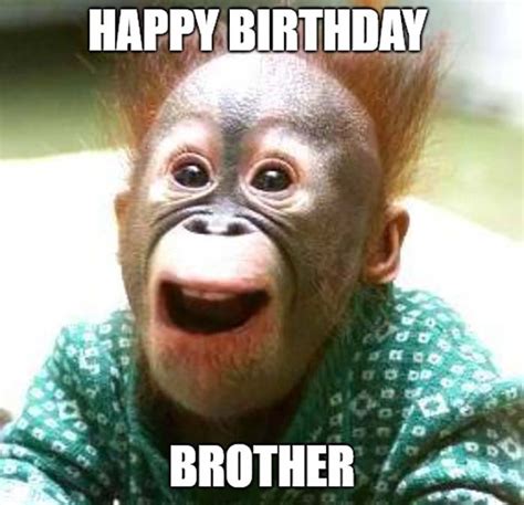 50 Funniest Happy Birthday Brother Meme Birthday Meme