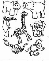 Animals Coloring Pages Zoo Animal Color Jungle Kids Printable sketch template