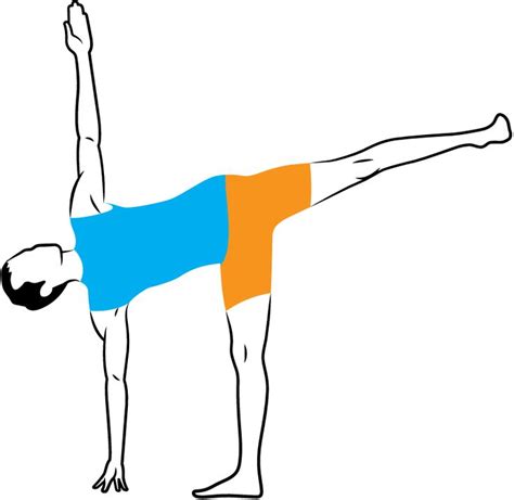 yoga poses  illustrated  jason crandell yoga