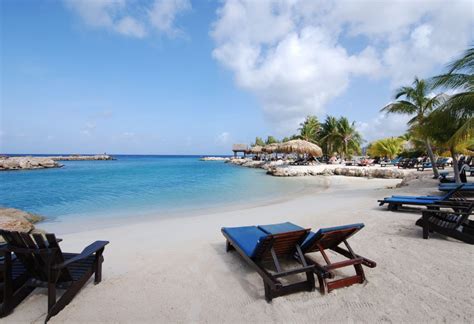 lionsdive beach resort curacao reviews specials bluewater dive travel