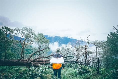 kỹ năng sinh tồn khi bị lạc trong rừng xukien blogger