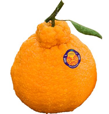 heres   buy  sumo citrus oranges people  stop obsessing