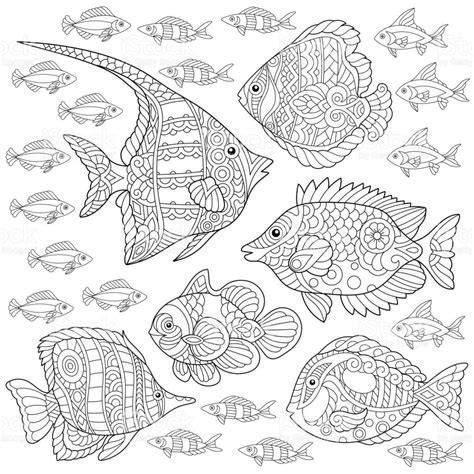 collection  tropical fishes royalty  collection  tropical