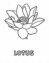 Lotus sketch template