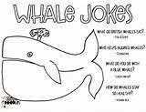 Jokes Whale Coloring Pages Doodles Stevie Searched Bar Name Use Search sketch template