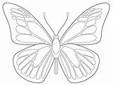 Symmetrical Drawing Butterfly Getdrawings sketch template