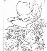 Coloring Pages Habitat Forest Animals Animal Sea Habitats Getcolorings Getdrawings Book sketch template