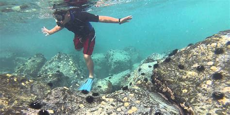 snorkeling  dubai tours dubai travel culture skyland tourism