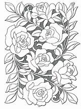 Rosa Adulte Tooling Bordar Stickmuster Adultos Difficile Fiori Cascina Coloringideas Ausmalen Blumen Drus Artikel Reine sketch template