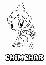 Coloring Chimchar sketch template