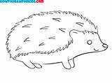 Hedgehog sketch template