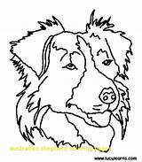 Coloring Pages Dog Australian Shepherd Printable Collie Border Color Bulldog Puppy Print Dogs Sheet English Getcolorings Bing Face Books Stencil sketch template