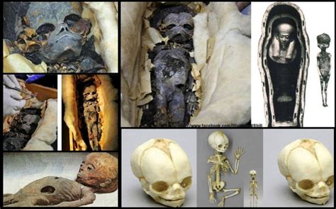 video mummy extraterrestrial found in the egyptian tomb