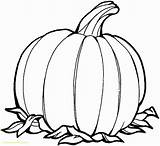Pumpkin Outline Coloring Printable Pages Getcolorings sketch template