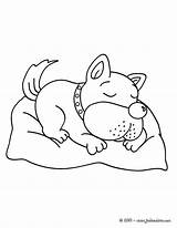 Dort Hellokids Sleeping Perros Pitbull Hund Schlafender Dormindo Colorir Cachorro Sleep Animales Domestiques Animaux Línea Farben Drucken Barbie sketch template