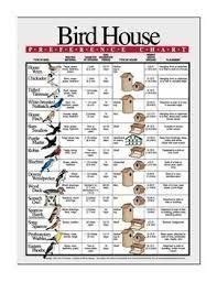 choose   hole size   sparrow birdhouse birds   wild