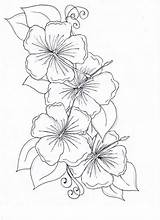 Flower Coloring Hibiscus Drawing Flowers Pages Drawings Tattoo Hawaiian Sampaguita Color Tattoos Cliparts Colorluna Draw Getdrawings Moon Visit Designs Colouring sketch template