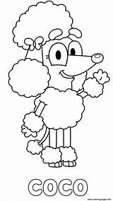 Bluey Coloriage Poodle Sheets Boy Rusty Xcolorings sketch template
