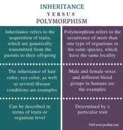 Difference Between Inheritance And Polymorphism