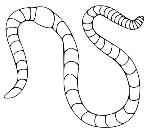 worm coloring pages printable