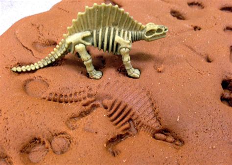 calling  paleontologists fossil making childrens museum  richmond