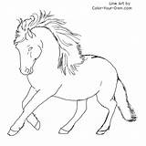 Coloring Newfoundland Pony Pages Dog Drawing Color Drawings Horse Line Own Template Patterns Getcolorings Print Getdrawings Sketch sketch template
