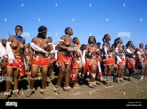 reed dance zeremonielle teilnehmer kwa zulu natal south africa