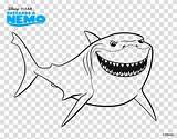 Shark Nemo Coloring Hiclipart sketch template