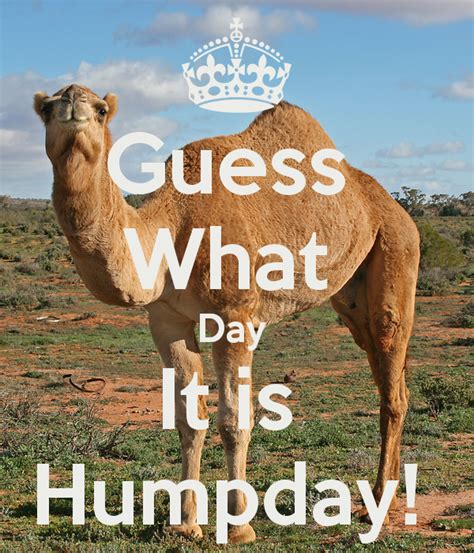 Guess What Day It Is Humpday Guess Day Wednesday Greetings