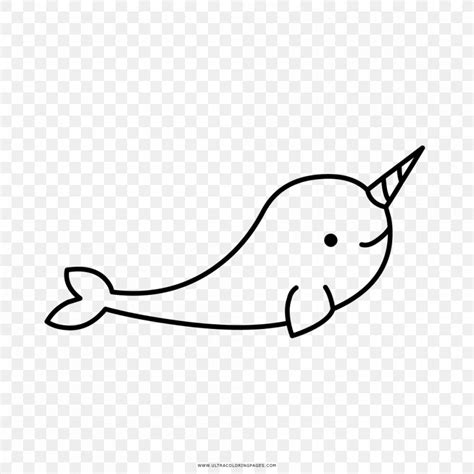narwhal drawing coloring book marine mammal animal png xpx