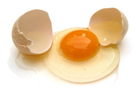 proteine nicht nur das gelbe vom ei die lebensmittelampel