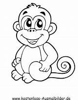 Affen Affenbaby Ausmalbild Ausdrucken Malvorlagen Affe Malen Vorlagen Kaynak sketch template