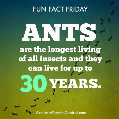 T Everyone Here Is A Funfactfriday To Kick Off The Day Before
