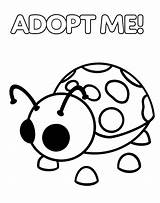 Adopt Ladybug Pet Antennae Glows Drucken Panda sketch template