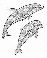Dolphin Coloring Pages Zentangle Drawing Adults Mandala Dauphin Coloriage Adult Dessin Animal Mandalas Dolphins Vector Book Stress Anti Illustration Imprimer sketch template