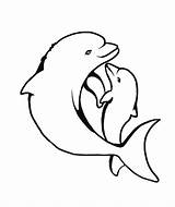 Dolphin Dolphins Delfiny Wydruku Kolorowanki Kolorowanka Ryby sketch template