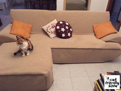 cat proof sofas