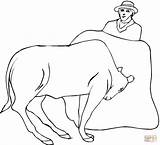 Bull Coloring Bullfighter Pages Bulls Brahman Angus Matador Color Supercoloring Man Designlooter Template Printable Online 19kb 160px sketch template