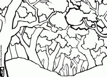 natural landscape   forest  leafy trees coloring pages nature