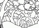 Coloring Pages Natural Landscape Tree Oncoloring Forest sketch template