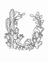 Coloring Succulent Cactus Saguaro Pages Wreath Drawing Printable Floral Color Getdrawings Getcolorings Blossom Kids Colorings sketch template