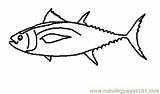 Tuna Coloring Clipart Fish Bigeye Clip Clipartpanda Printable Majority Drawings 291px 53kb Clipground 20clipart sketch template