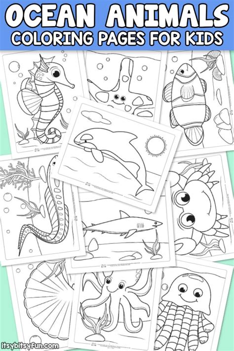 ocean animals coloring pages  kids itsy bitsy fun